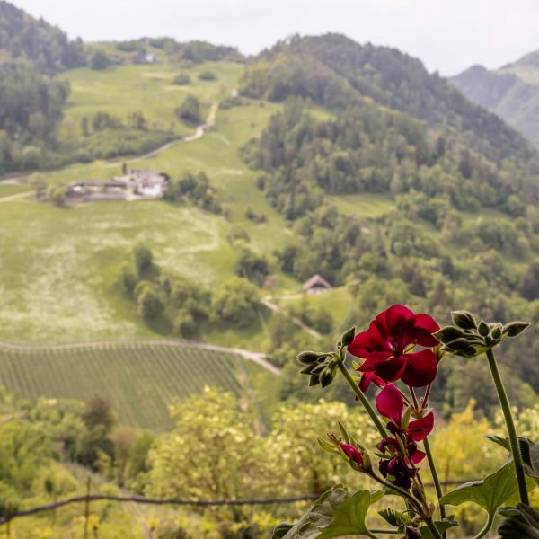 Christelehof Kastelruth Urlaub auf dem Bauernhof.13